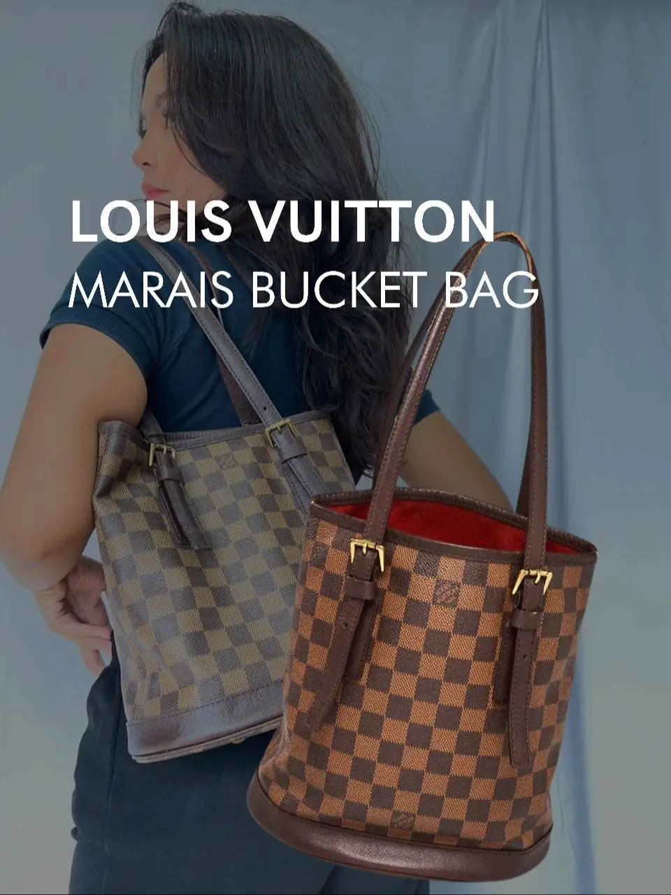 LOUIS VUITTON PETIT NOE PRELOVED..BUCKET BAG By Zin Ivy B 