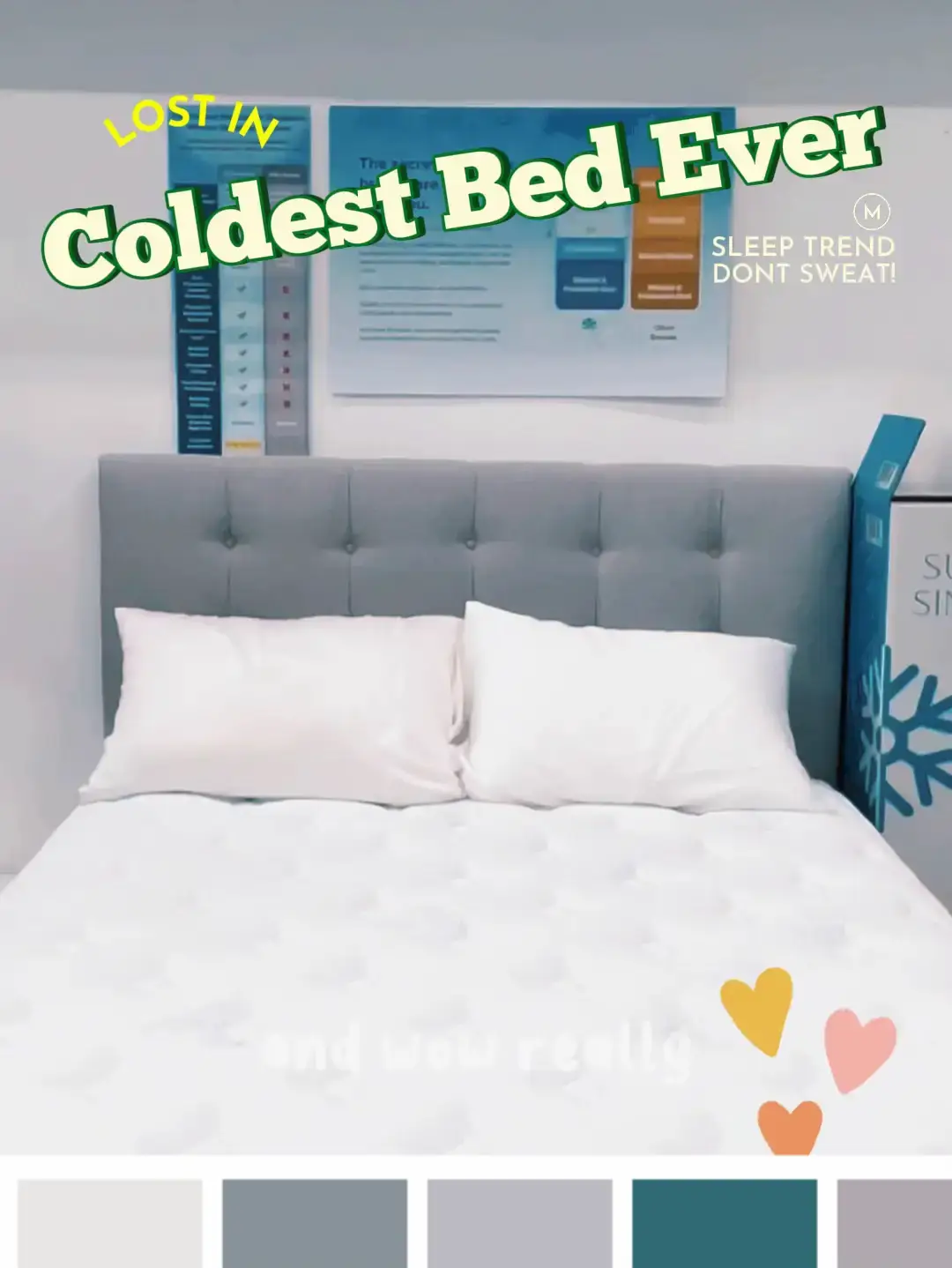 Coldest mattress shop