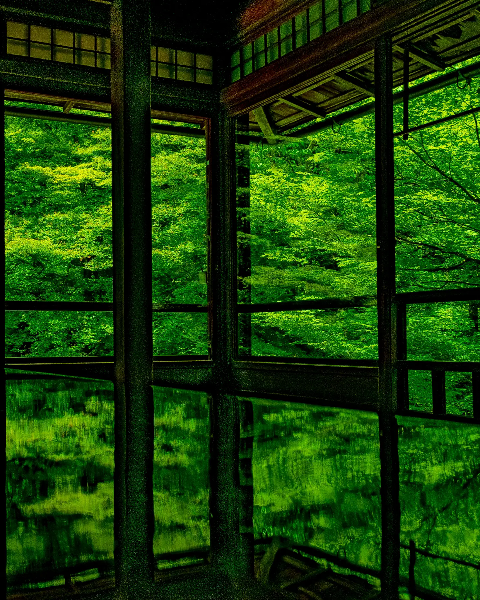 京都府 瑠璃光院 夏の特別拝観 新緑のリフレクション Jptravelerspicが投稿したフォトブック Lemon8 京都府 瑠璃光院 夏の特別拝観 新緑のリフレクション Jptravelerspicが投稿したフォトブック Lemon8
