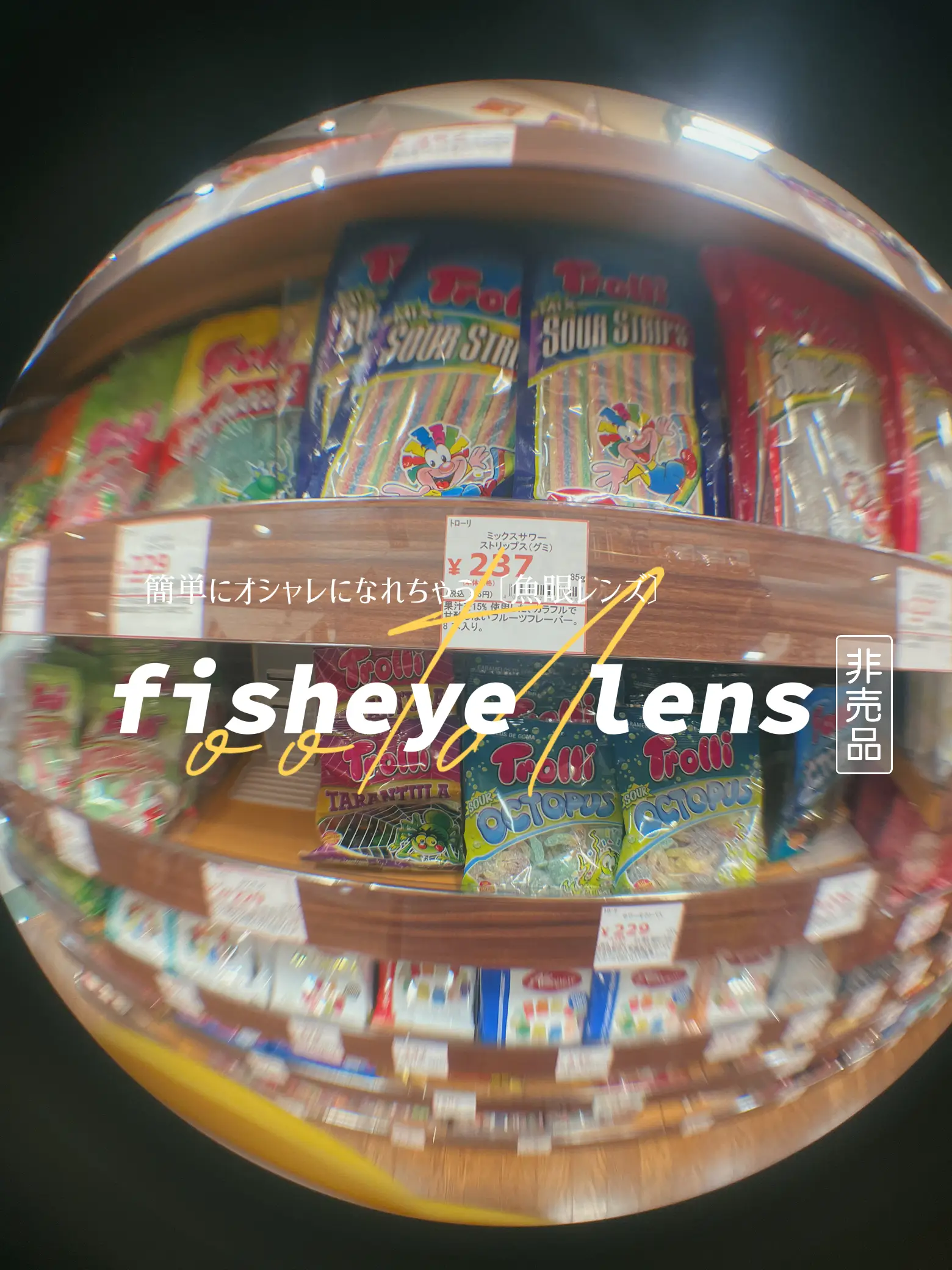 魚眼レンズっておしゃれ 𝙨𝙝𝙞𝙜𝙚が投稿したフォトブック Lemon8