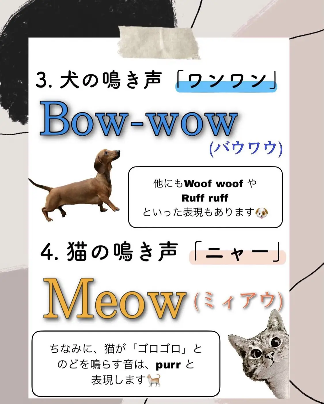 動物の鳴き声 英語でどう表現する Gallery Posted By Harupopo Lemon8