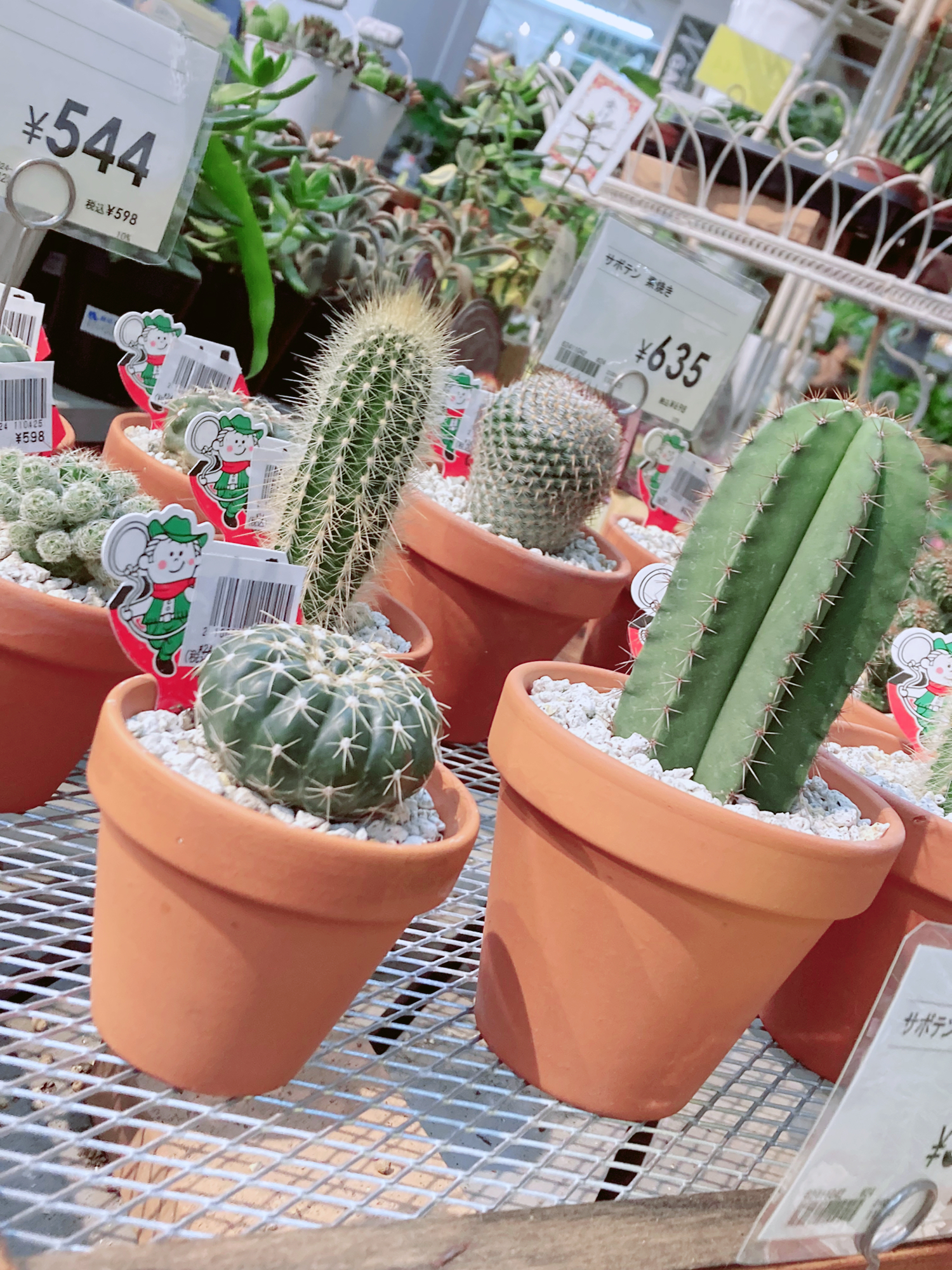 サボテン ひまりが投稿したフォトブック Lemon8