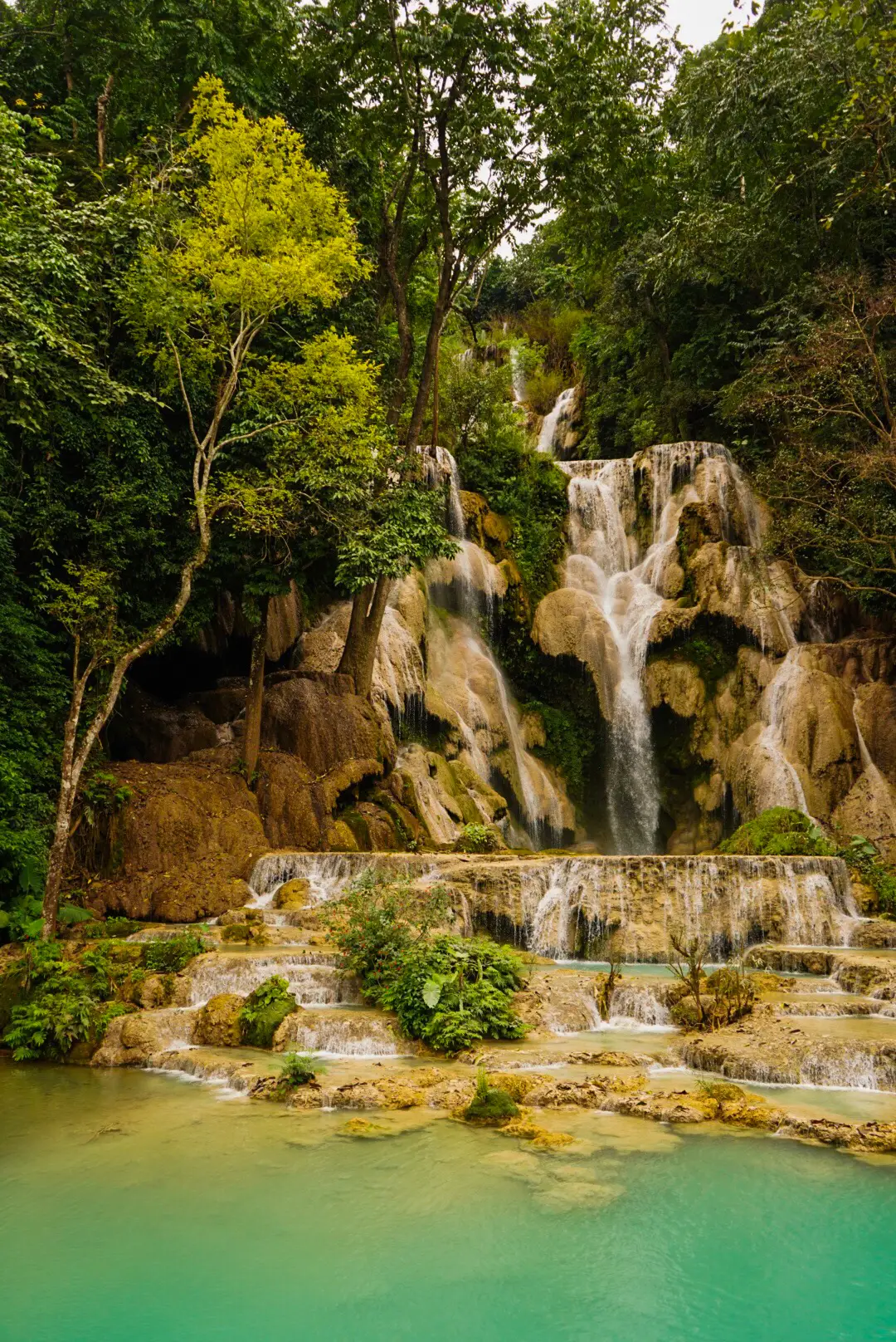 ルアンパバーンのエメラルドグリーン色の秘境の滝「クワンシーの滝」の画像 (1枚目)