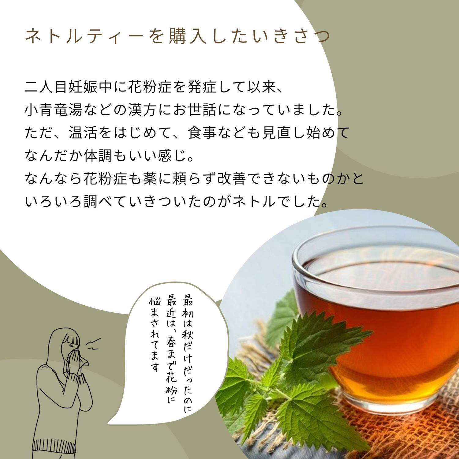 飲むタイミングは今 ネトルティーのデトックス効果で花粉症が和らいだ話 女性の味方のハーブ Makinokoblogが投稿したフォトブック Lemon8