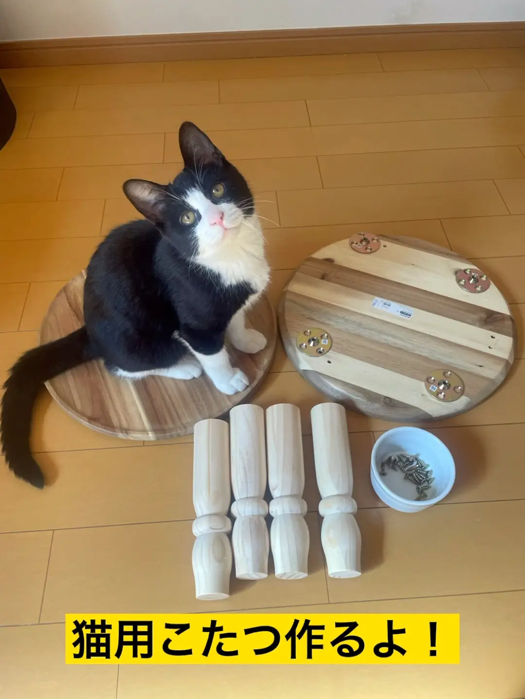 Lemon8 Story 猫ケージ 手作り セリア