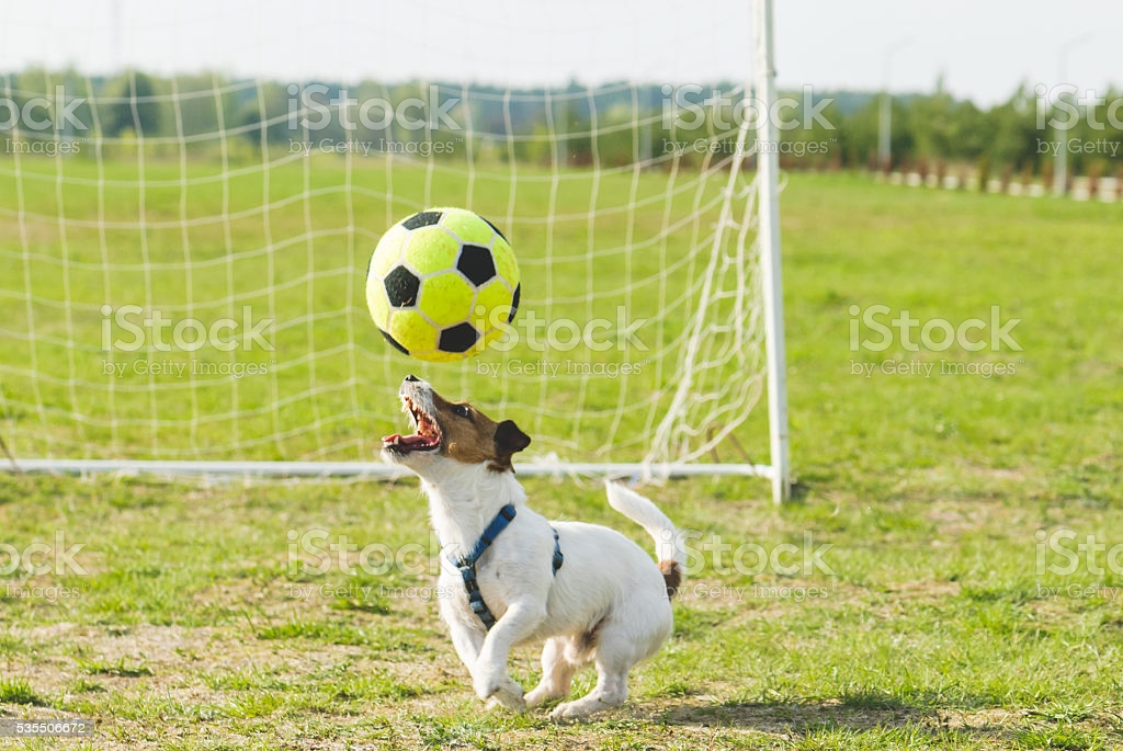 Mesa redonda do Buteco!