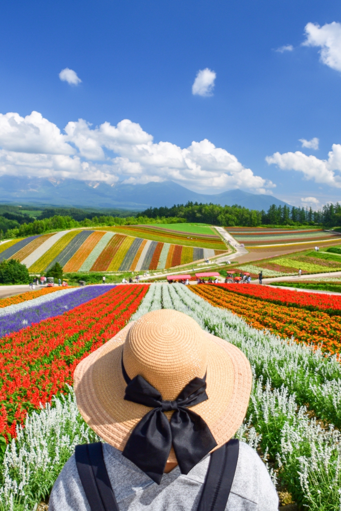 北海道 夏のカラフル 虹色花畑 四季彩の丘 Erika5ankoが投稿したフォトブック Sharee