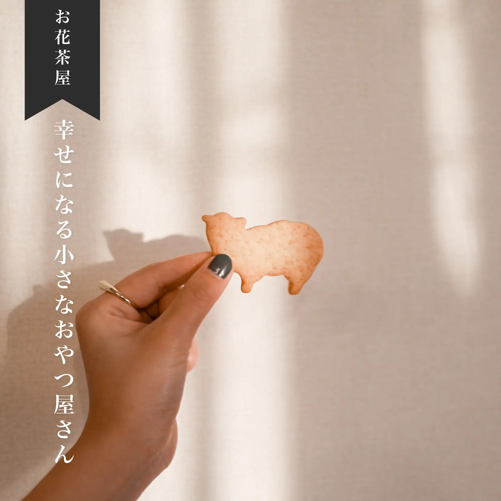 お花茶屋 プチギフトにもおすすめ ひつじクッキー おやつ屋マルマム Pipipi 00 が投稿したフォトブック Lemon8