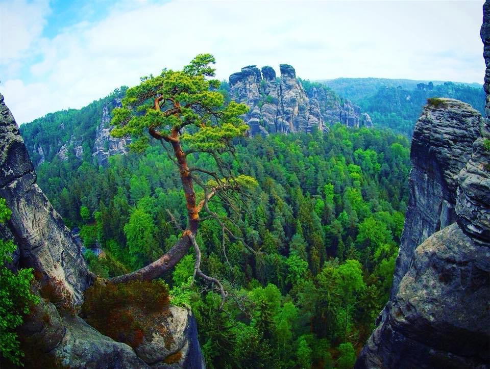 天空に架かる石橋 ドイツ ザクセンスイス国立公園 Kasumi713が投稿したフォトブック Lemon8