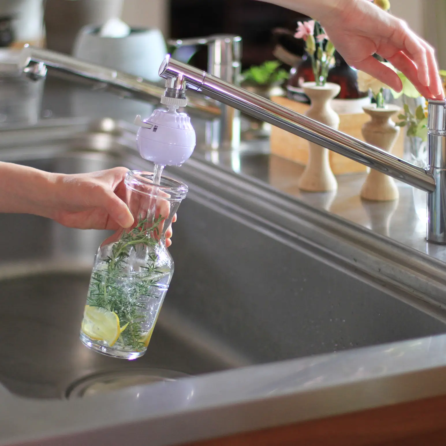 ローズマリーに関する最新の人気投稿 Lemon8