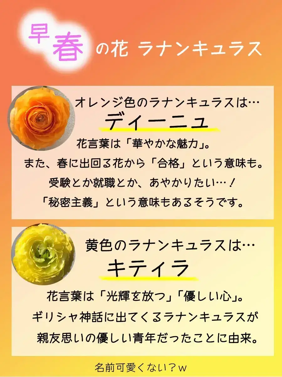 一人暮らしとお花 合格 華やかな魅力 癒されたいolが投稿したフォトブック Lemon8