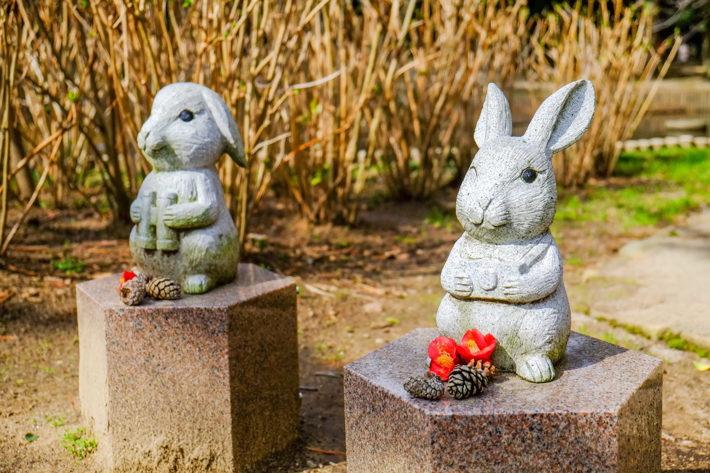 おぱんちゅウサギ Lemon8