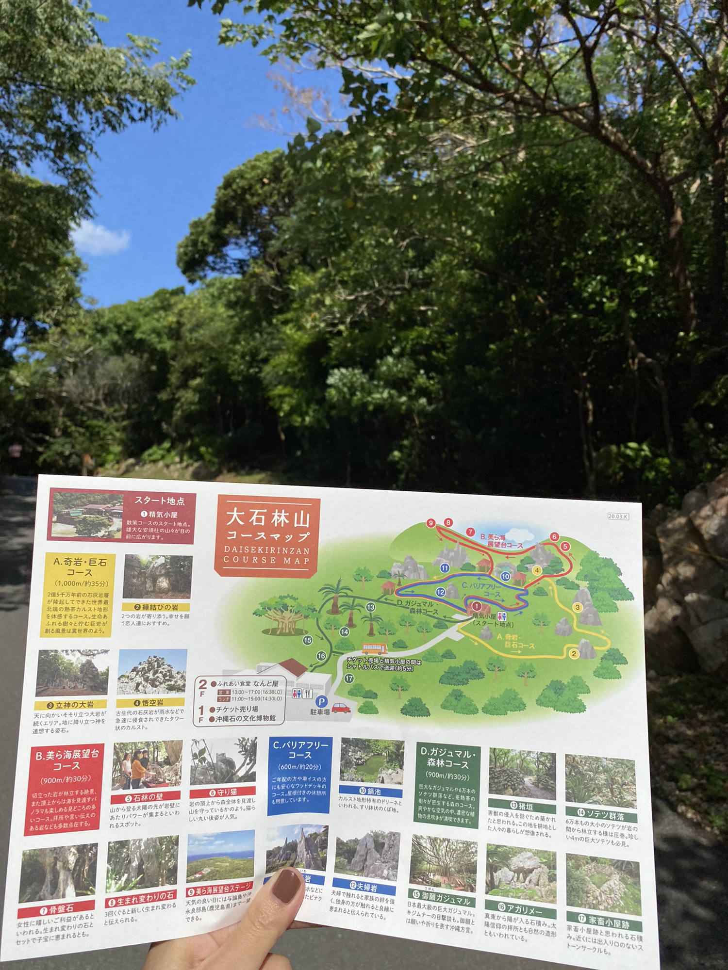 沖縄 国頭村 壮大なパワースポット 大石林山 に行ってきました Rei Hが投稿した記事 Sharee