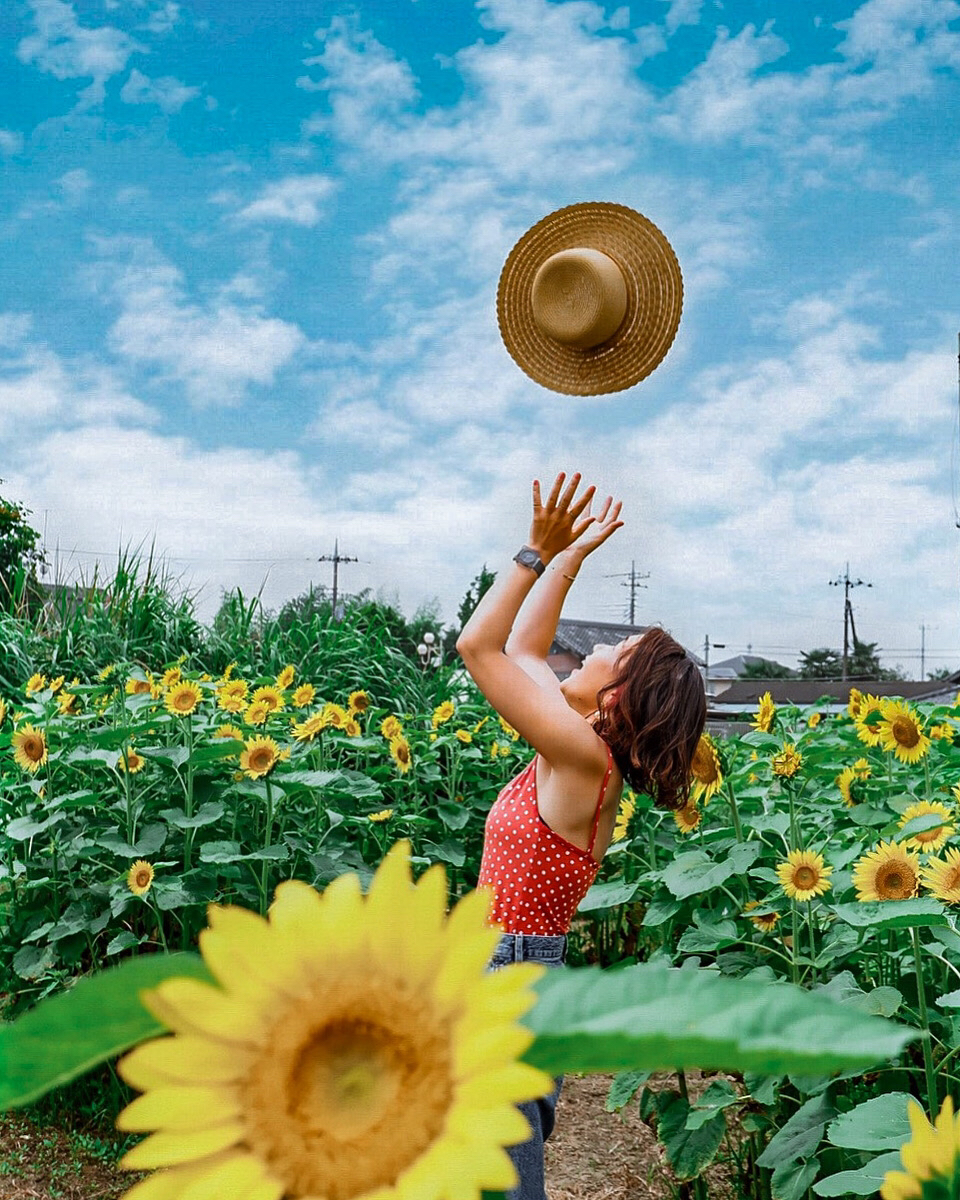 ひまわり畑 埼玉 熊谷 Risa From Japanが投稿したフォトブック Sharee
