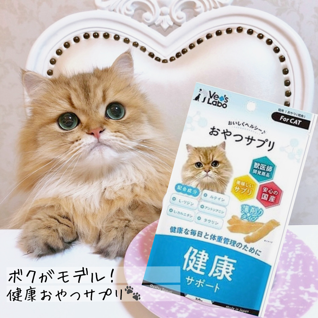 パッケージモデルになったにゃ🐱💕／  fuwariが投稿したフォトブック 