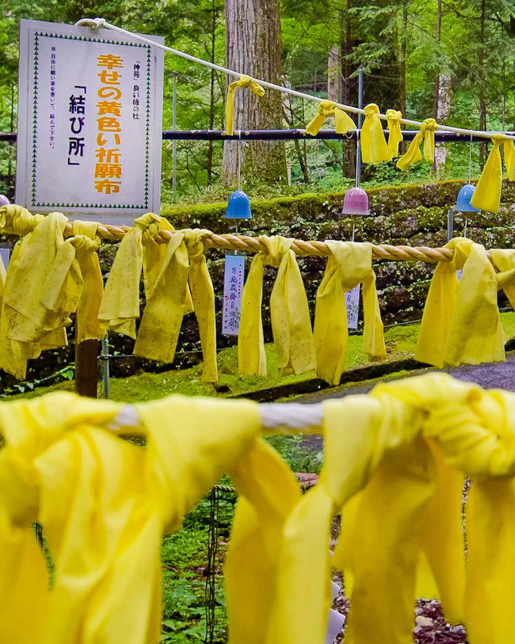 栃木県日光市 日光二荒山神社の奉納四つ葉のクローバーと黄色い祈願布 Jptravelerspicが投稿したフォトブック Lemon8