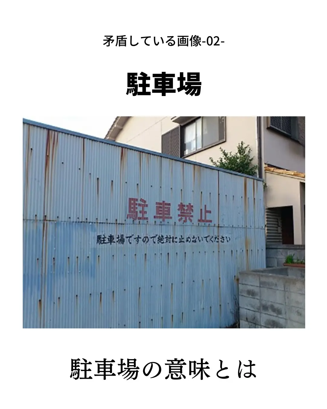 明らかに矛盾してる 雑学の都が投稿したフォトブック Lemon8