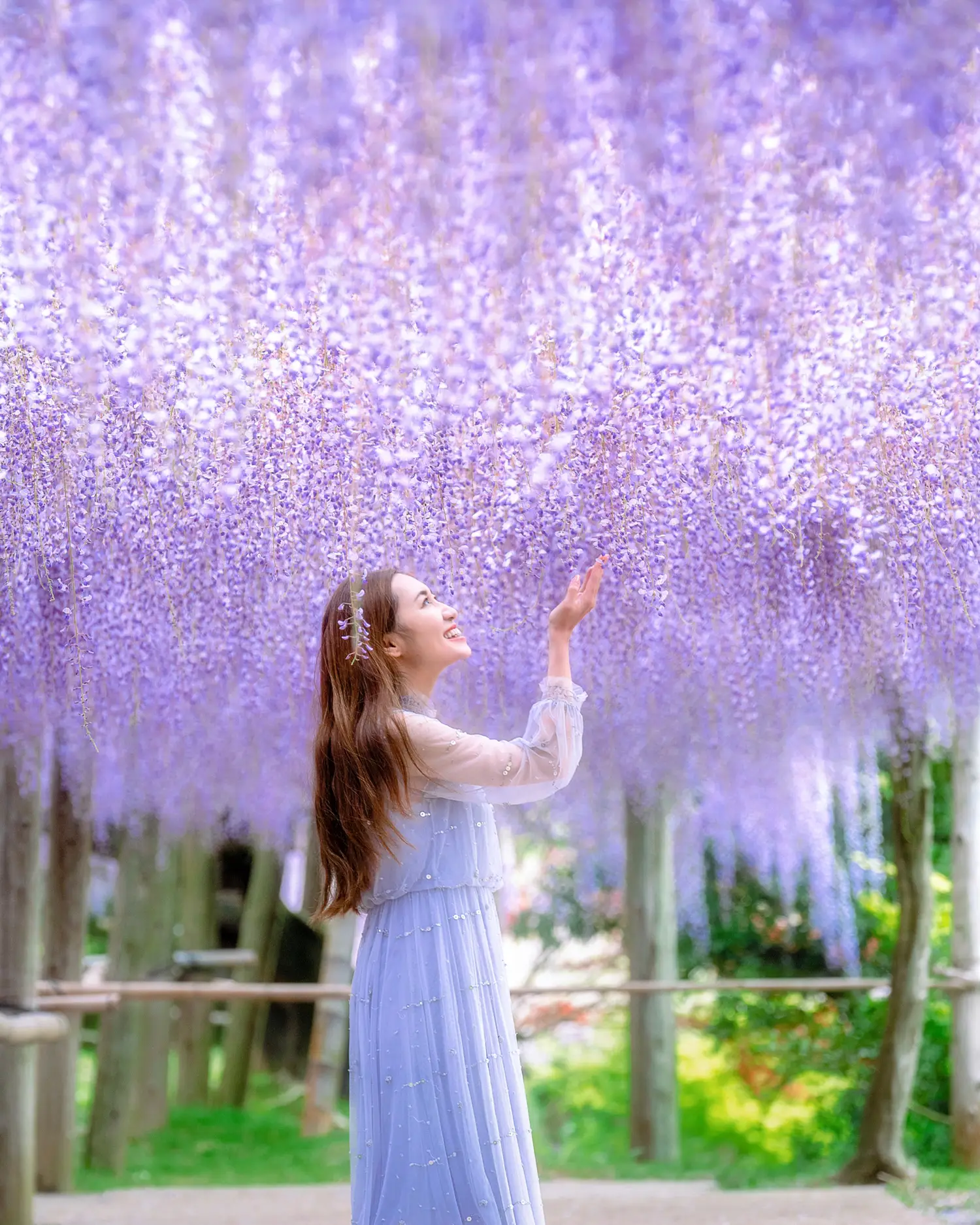 福岡県 世界が認めた美しい絶景 河内藤園 Kyoko1903が投稿したフォトブック Lemon8