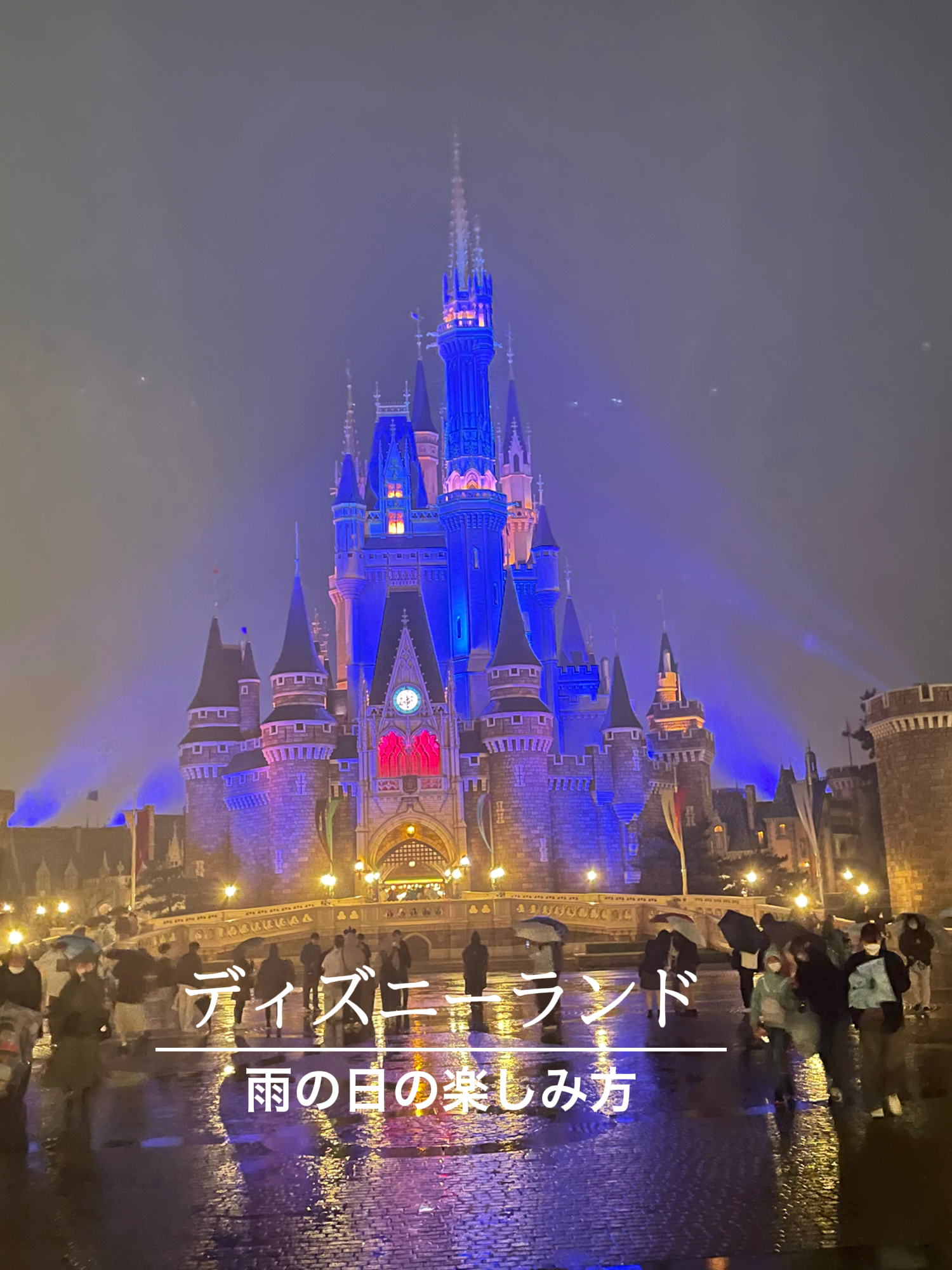 雨の日ディズニー Maki1267が投稿したフォトブック Lemon8