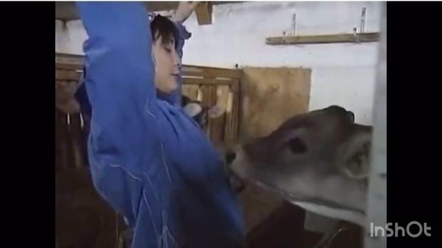 ウルルン滞在記 当時10代の竹内結子