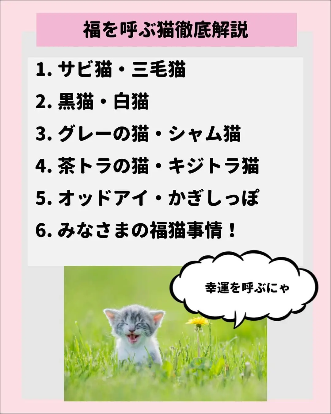 福を呼ぶ猫ってどんな猫 ねこにも 愛猫情報発信中が投稿したフォトブック Lemon8