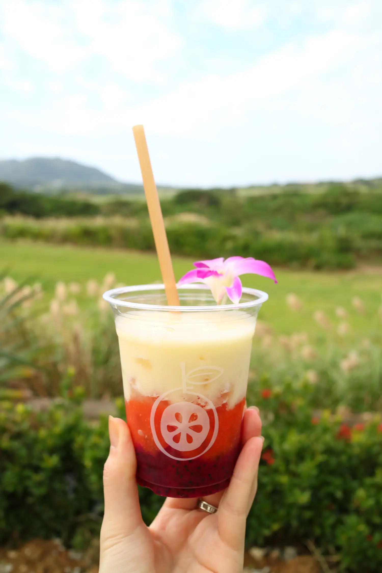光楽園（石垣島）〜3種類楽しめる！絶品トロピカルフルーツジュース〜 | らんらんらんちと甘いもんが投稿したフォトブック | Lemon8