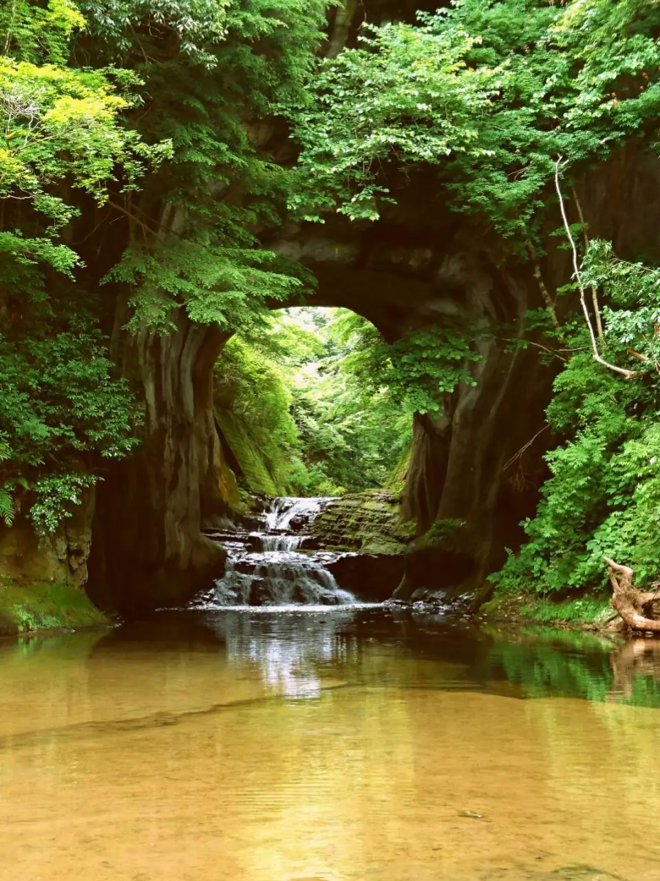 【千葉】濃溝の滝・亀岩の洞窟の画像 (2枚目)