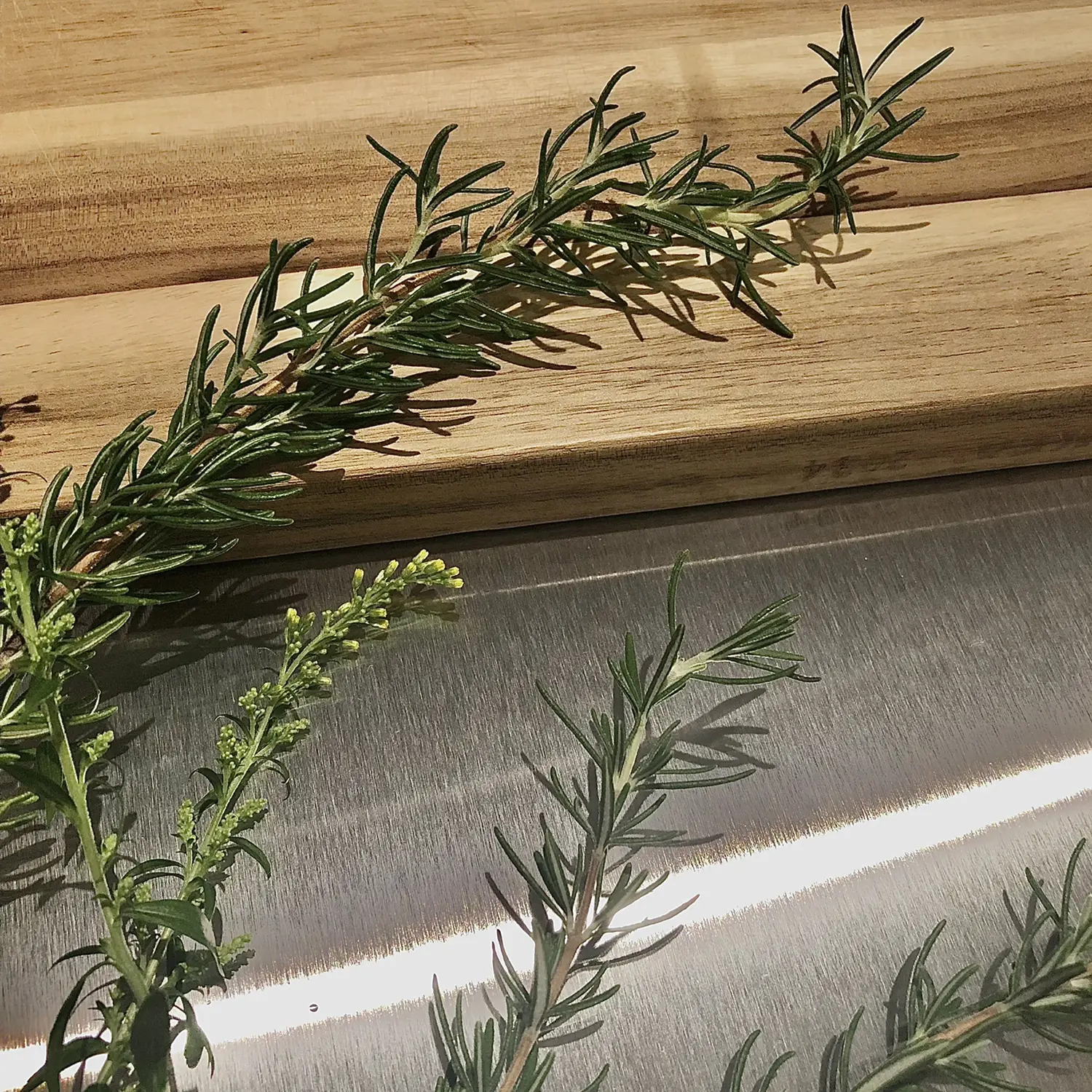 ローズマリー Chasoが投稿したフォトブック Lemon8