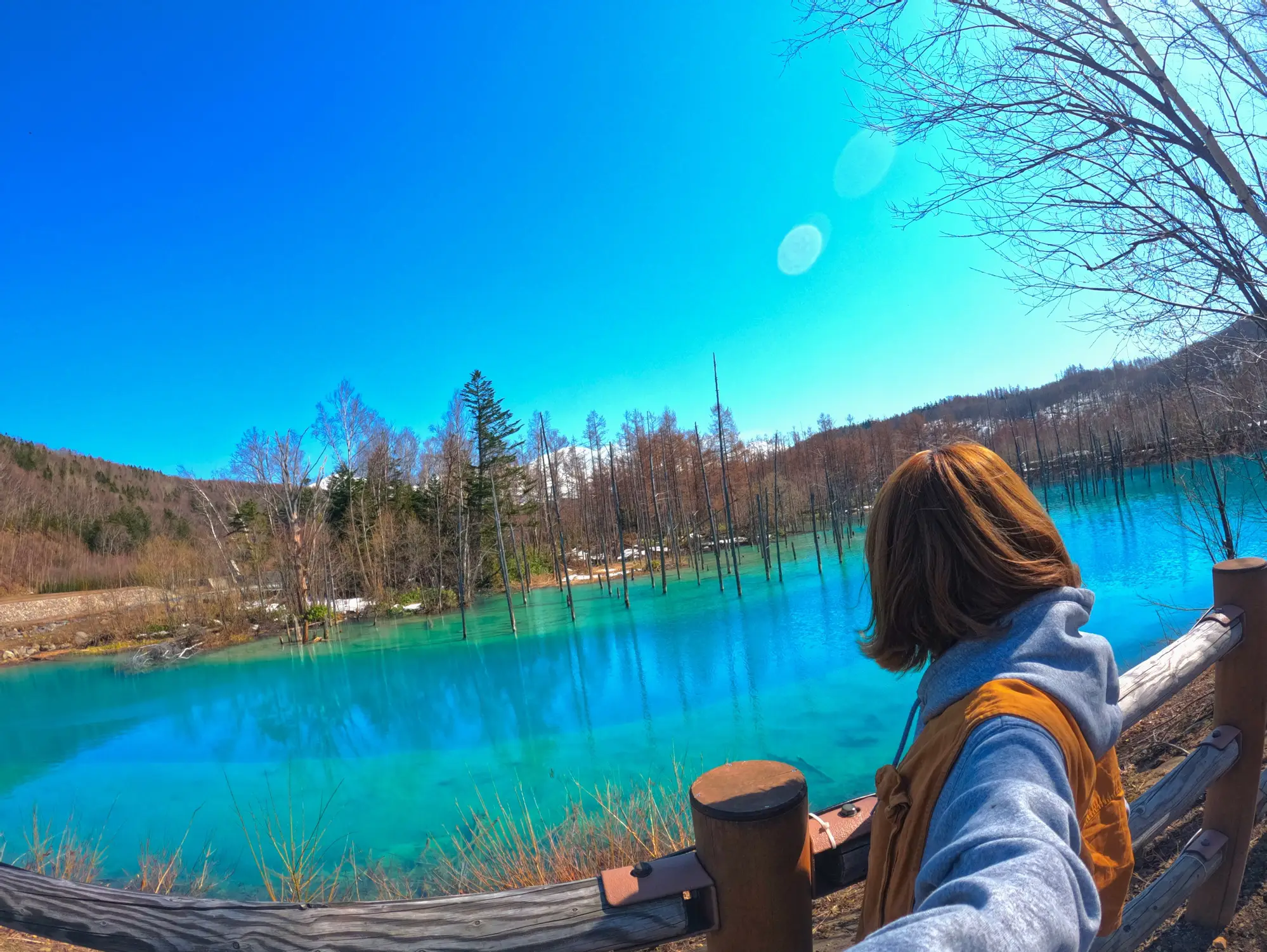 北海道に行った時はここ！！『青い池』の画像 (1枚目)