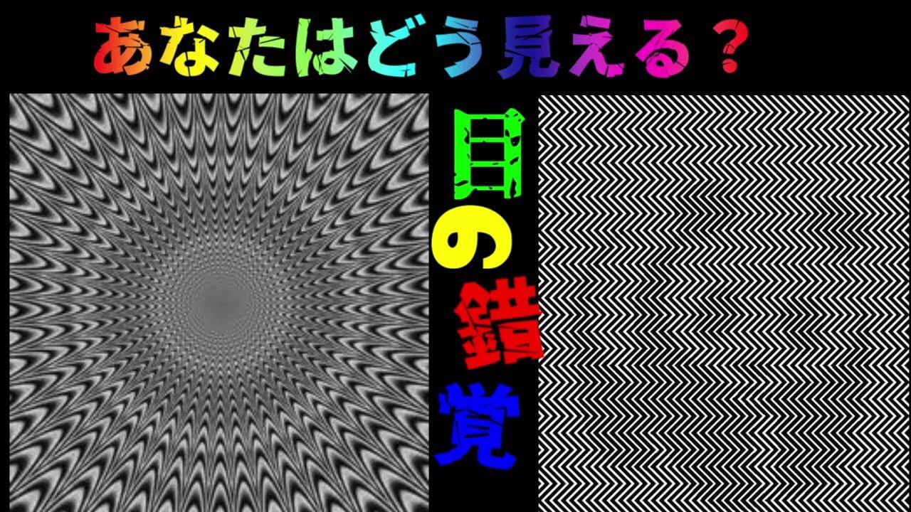 あなたはどう見える 目の錯覚クイズ あなたはどう見える 目の錯覚クイズ