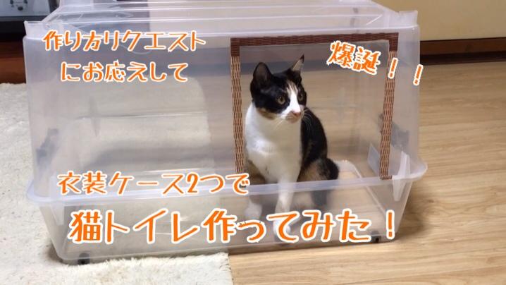 星 アテンダント 筋肉の 猫 トイレ 衣装 ケース Diy ボール 社会 参照