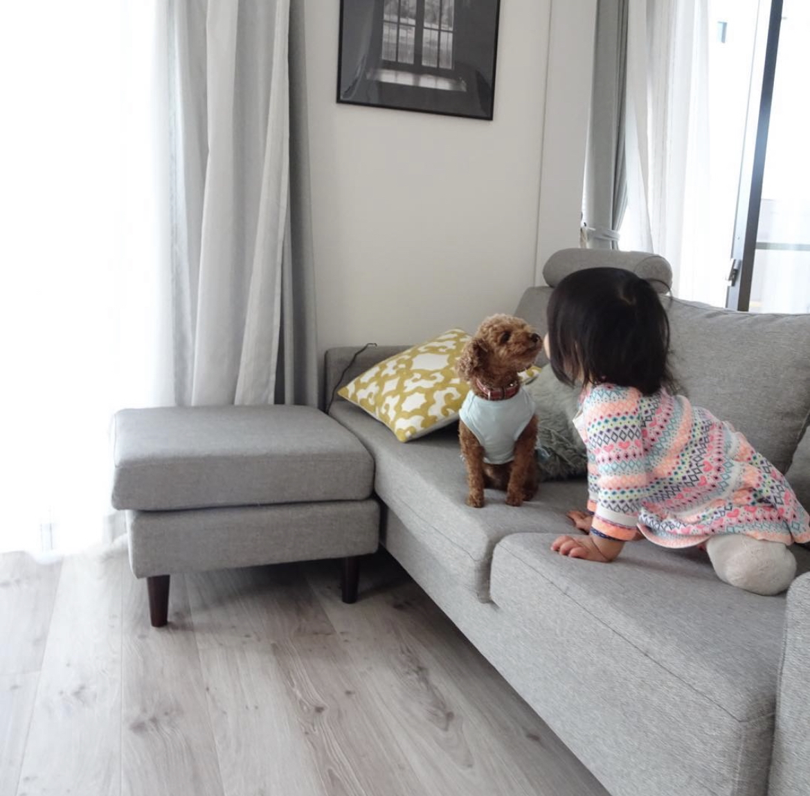 ワンコと子供のいる暮らし ちょびすけ0815が投稿したフォトブック Lemon8