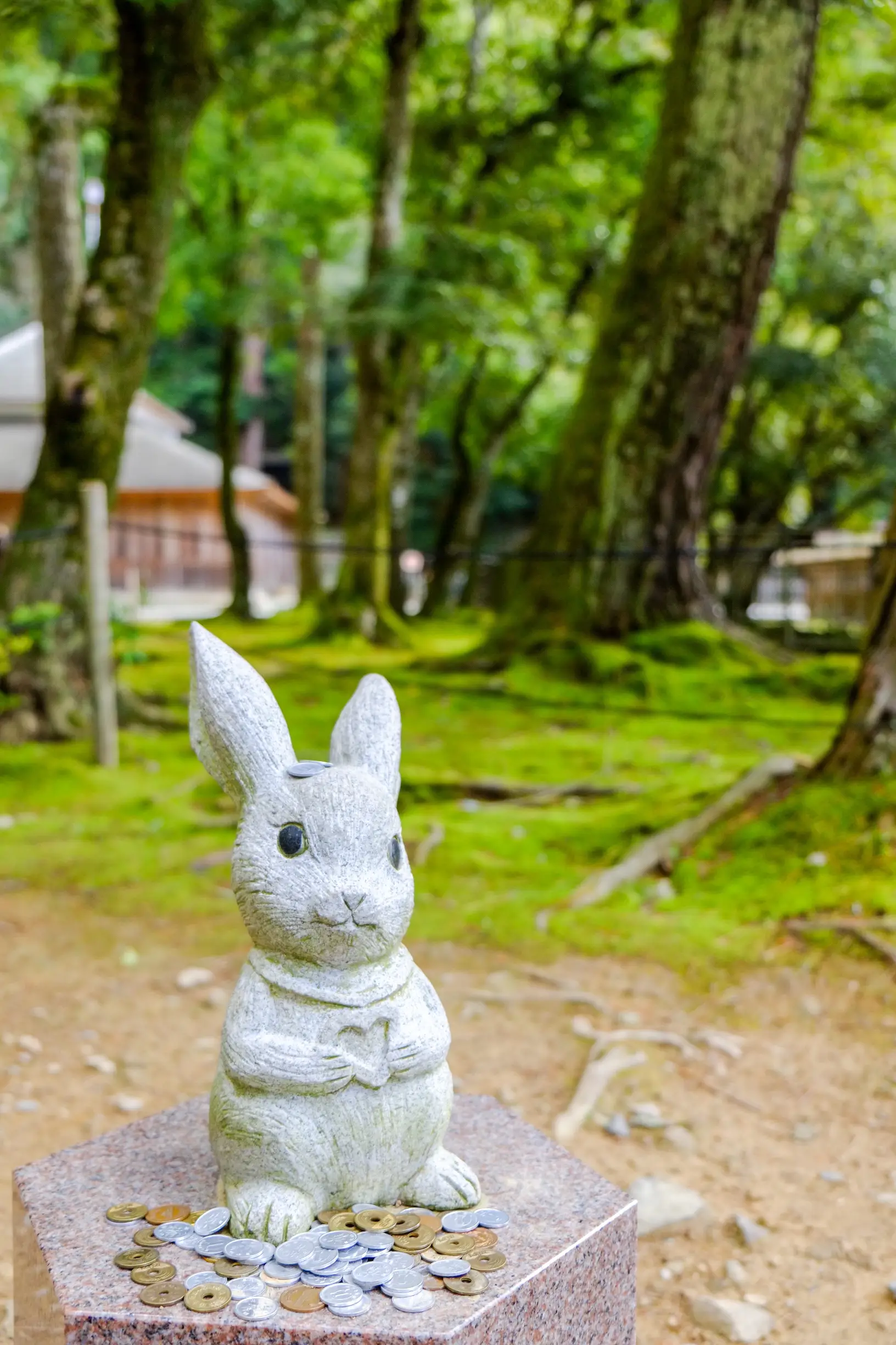 おぱんちゅウサギ Lemon8