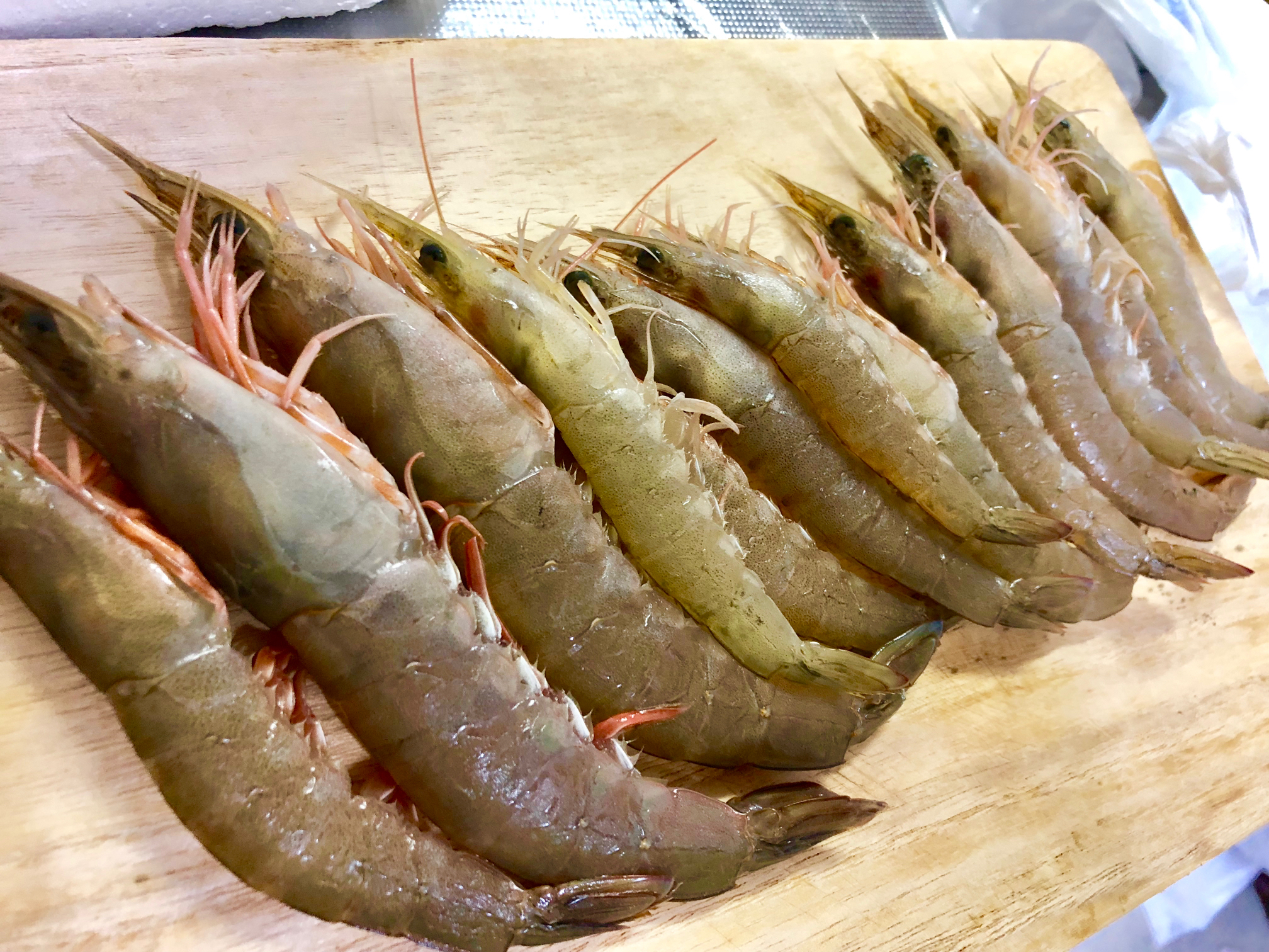 瀬戸内天然シラサエビ To Kitchen が投稿したフォトブック Lemon8