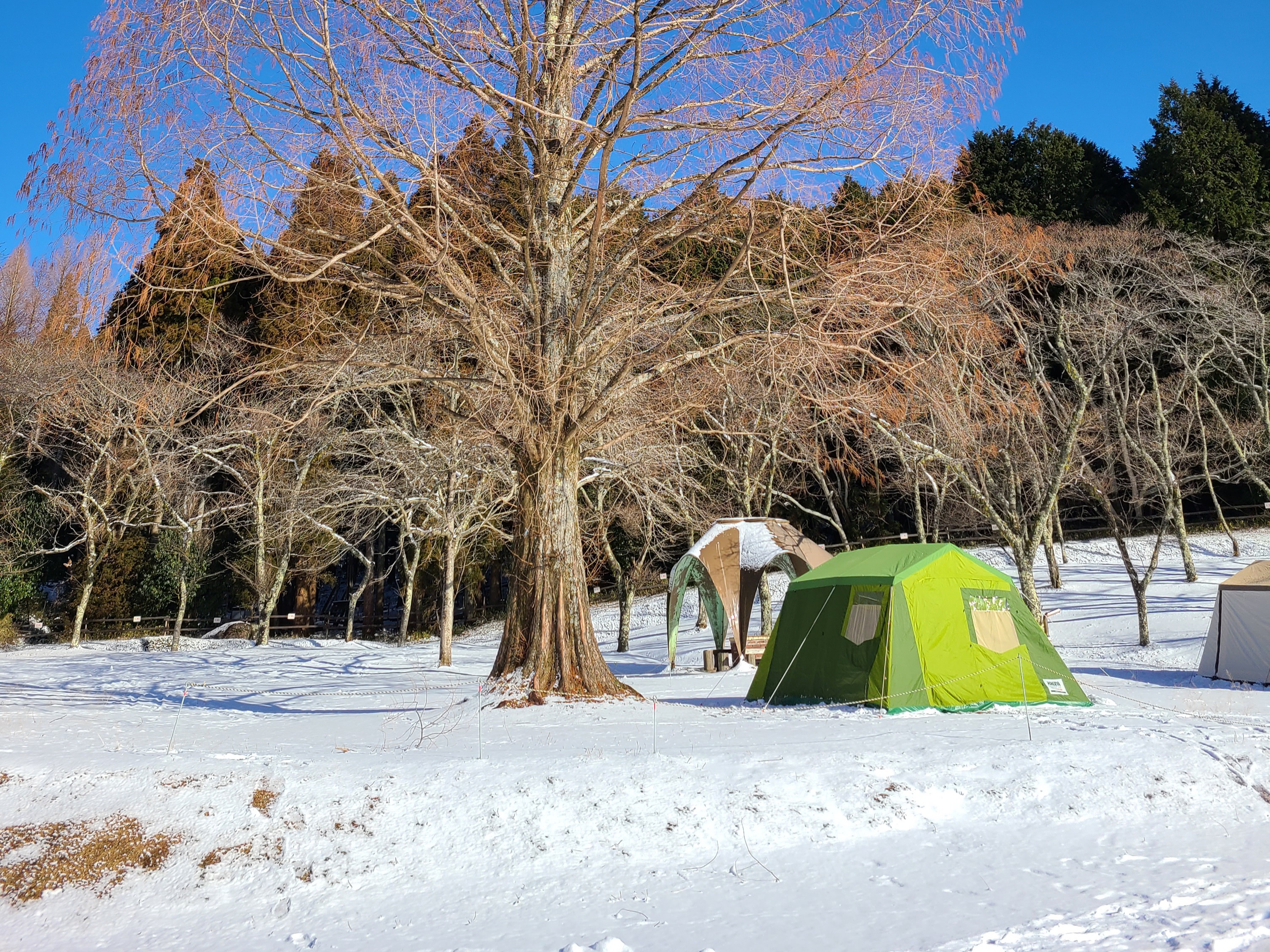 私の幕たち Kuncho Styleが投稿したフォトブック Lemon8