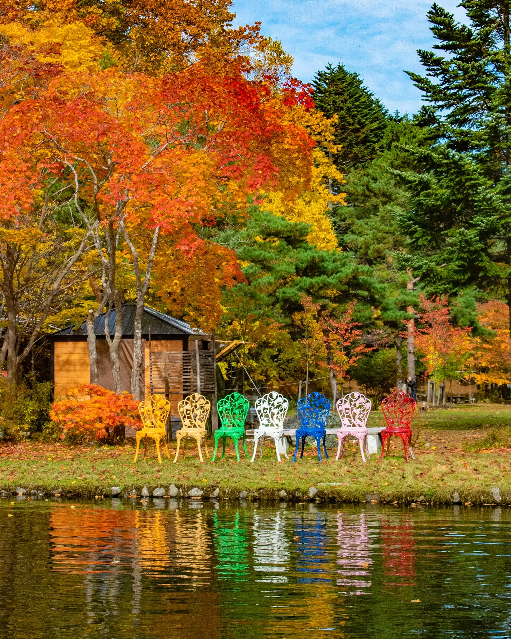 北海道札幌市 穴場紅葉スポット 紅櫻公園 Jptravelerspicが投稿したフォトブック Lemon8