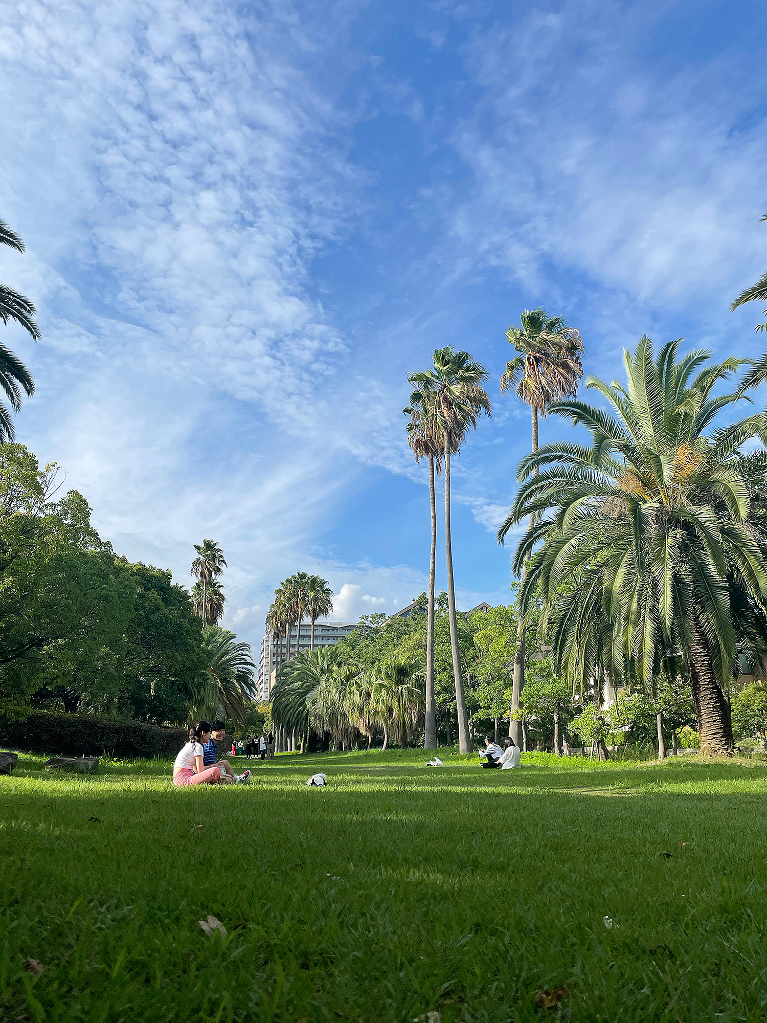 ハワイ公園 オシャレな写真スポット ピクニックにもオススメ Chi Roが投稿したフォトブック Lemon8