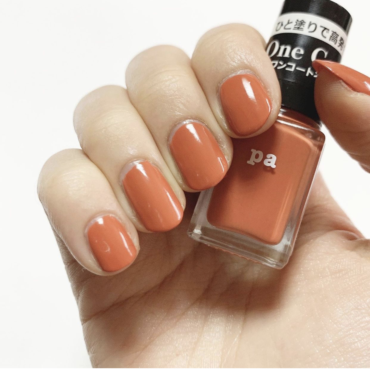 テラコッタネイル Ggjj Iiが投稿したフォトブック Sharee