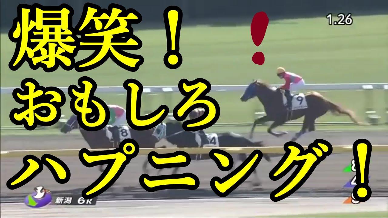 珍事 競馬爆笑ハプニングまとめ 暴走