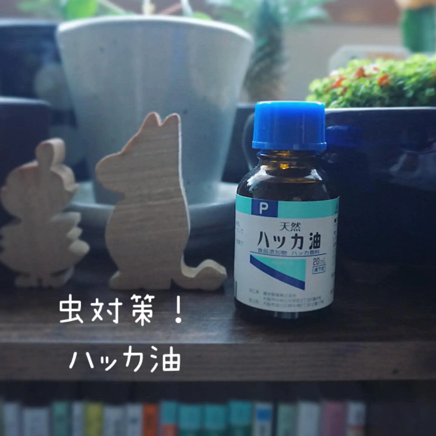 早めの対策 虫除けにハッカ油 Mayuが投稿したフォトブック Lemon8