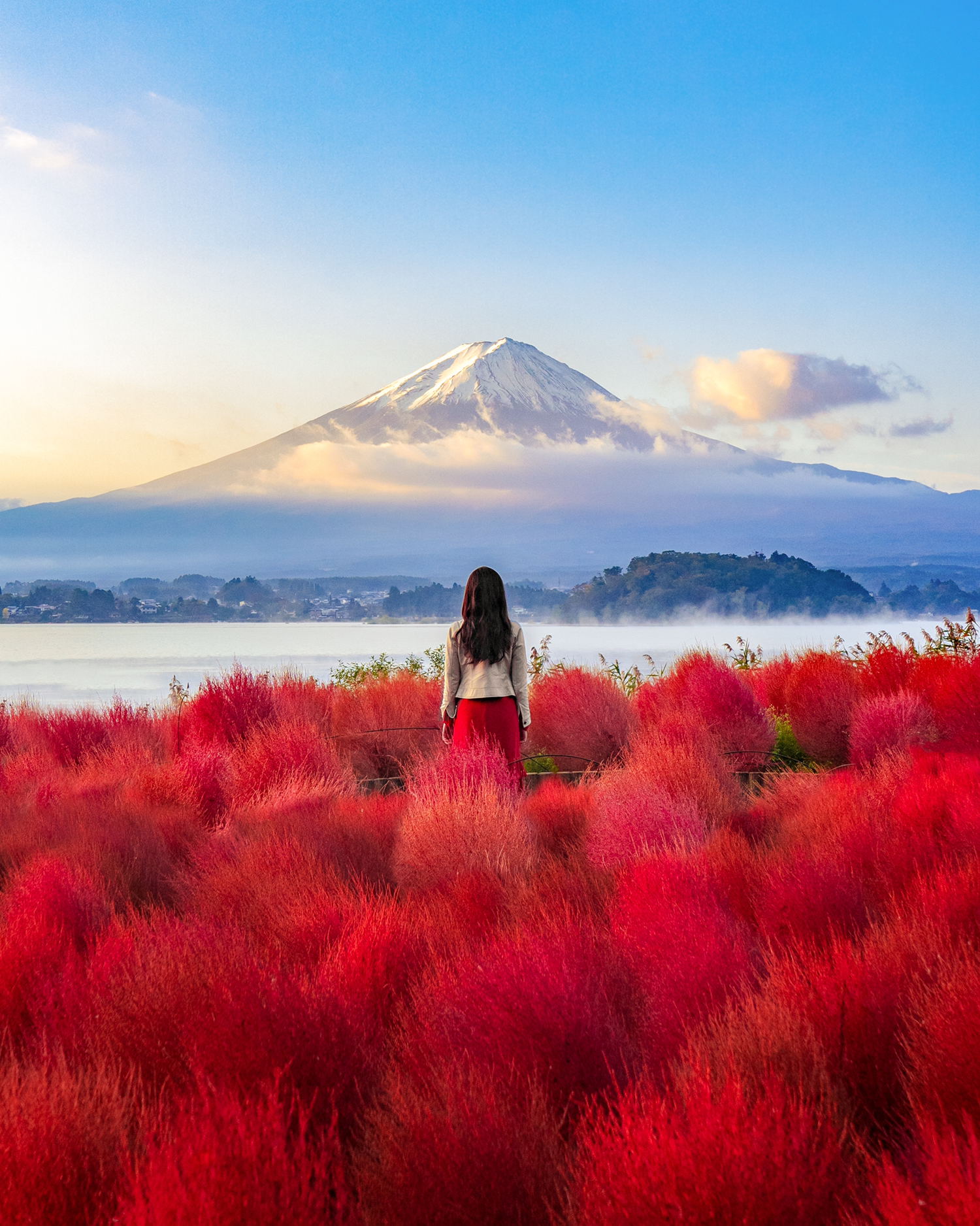 山梨県 コキアと富士山のコラボが生み出す絶景 Kyoko1903が投稿したフォトブック Lemon8