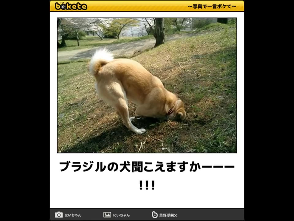 ボケて 犬 ネタまとめ Part6