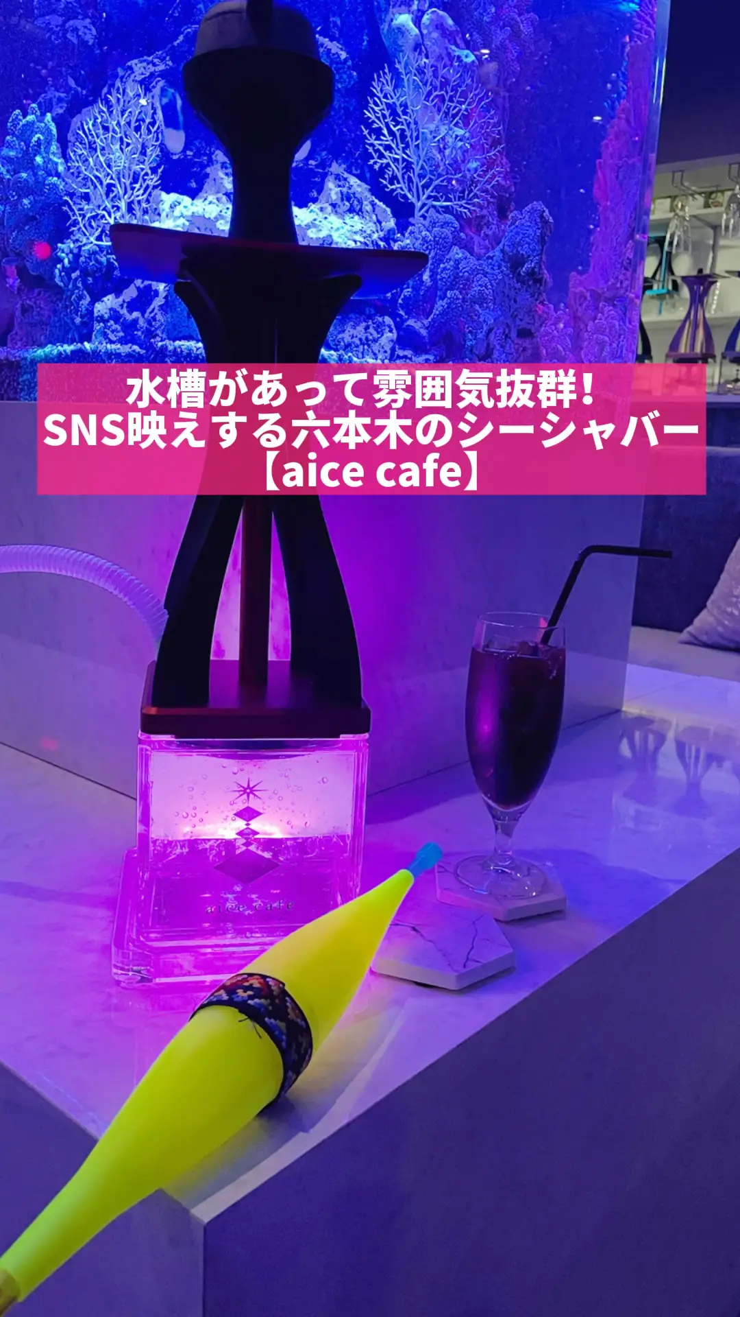 水槽があって雰囲気抜群 Sns映えする六本木のシーシャバー Aice Cafe Eminanaが投稿した記事 Lemon8