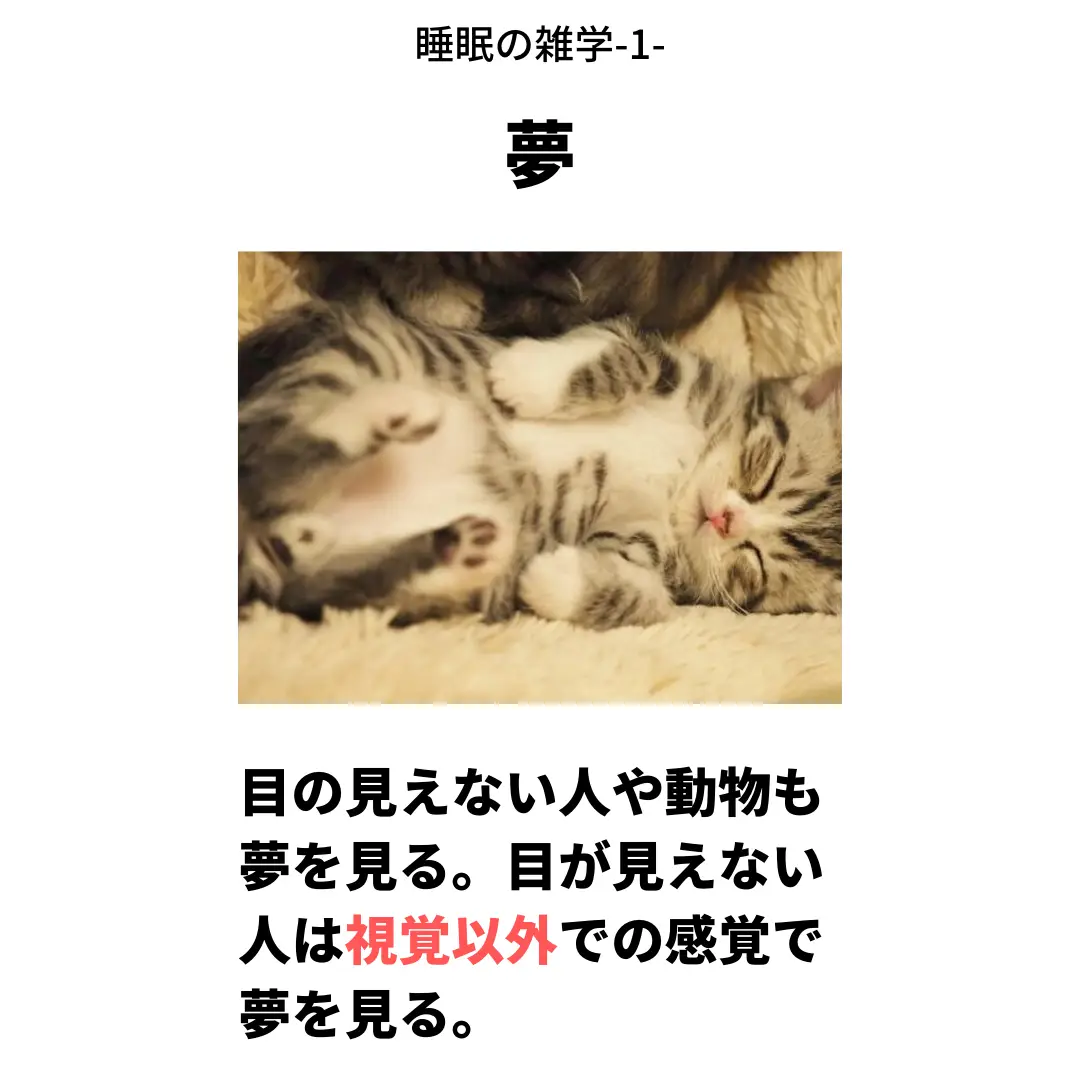のび太もびっくり意外と知らない睡眠の雑学 Gallery Posted By 雑学の国 Lemon8