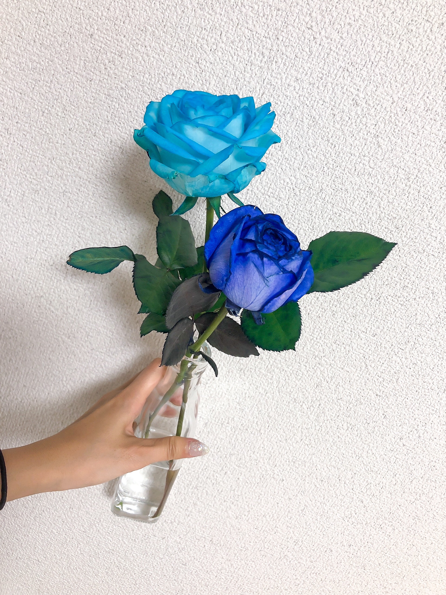 ダイソーの花瓶 使い方は自由 Sakoleが投稿したフォトブック Sharee