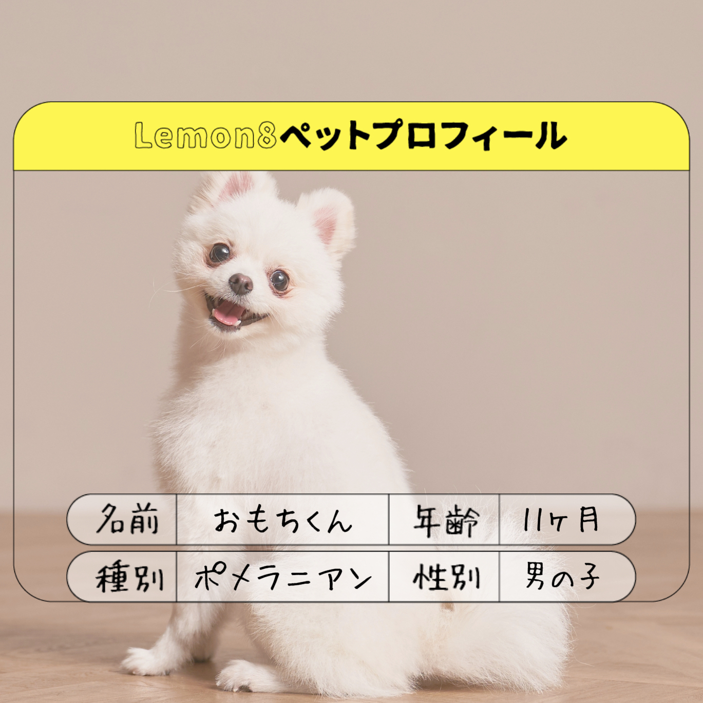 おもちくん です Omochikunが投稿したフォトブック Lemon8