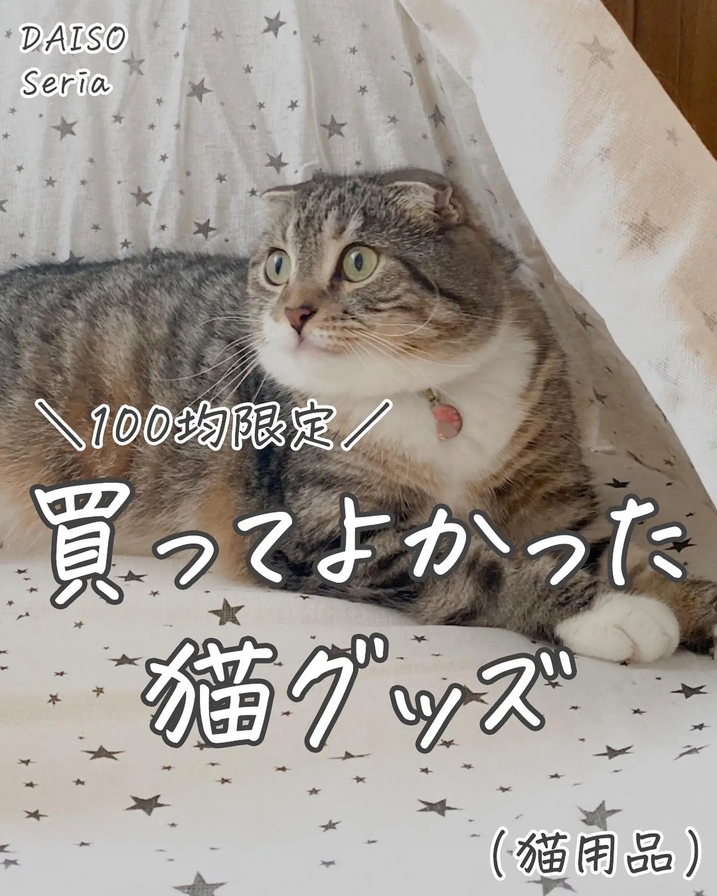 100均 買ってよかった猫用品 猫グッズ ねこぞー 猫のお役立ち情報が投稿したフォトブック Lemon8