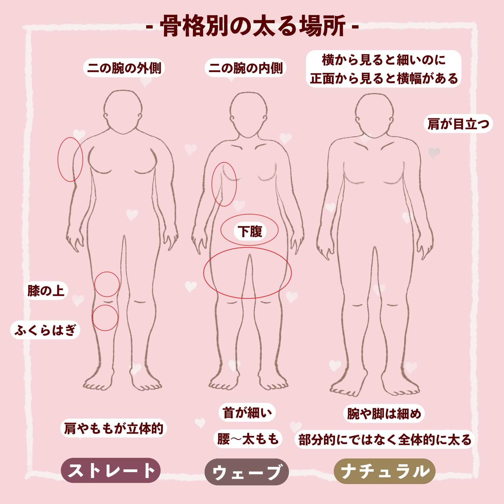 太り方でわかる骨格診断と向いてるダイエット法 Kumacosmeが投稿したフォトブック Lemon8