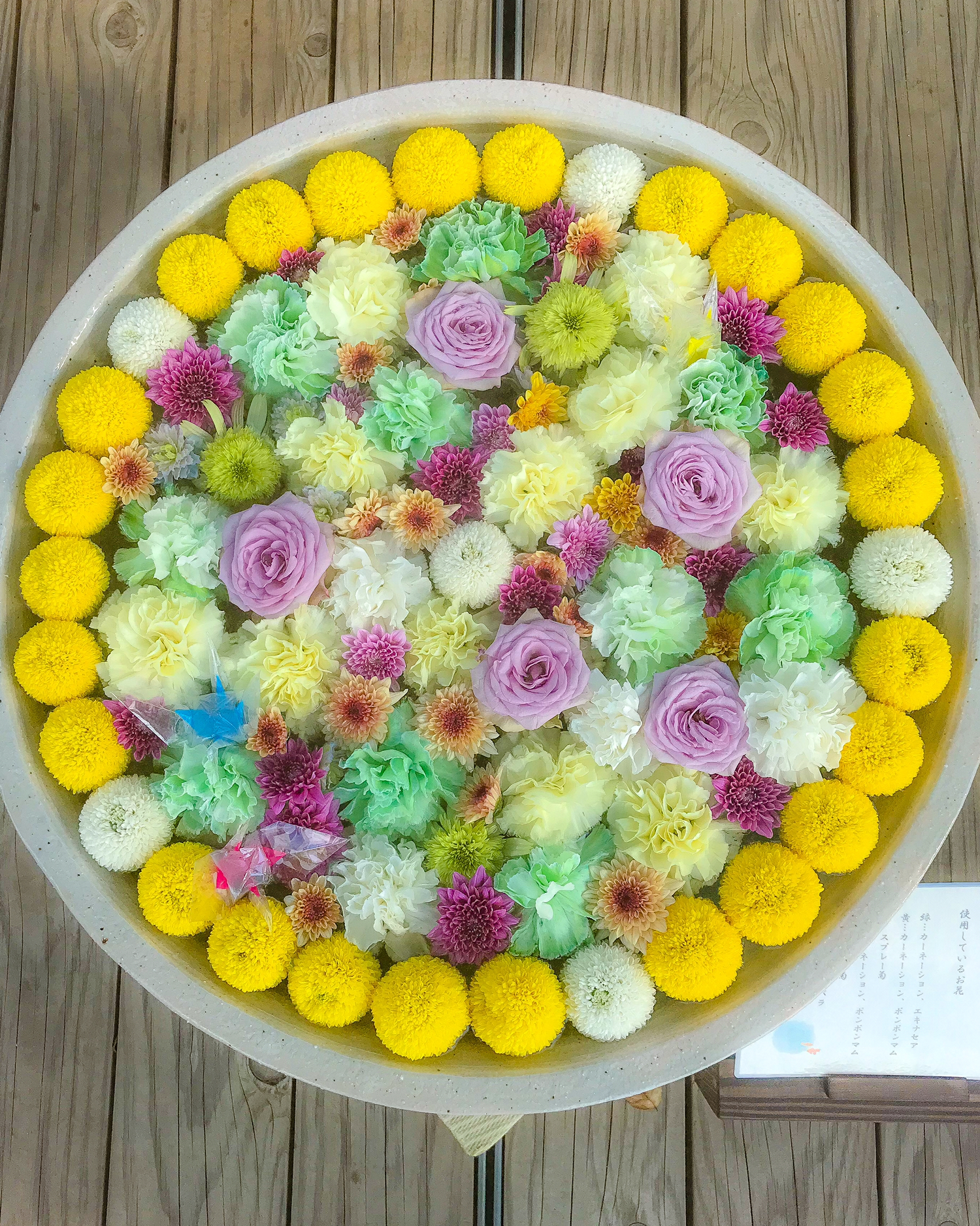 栃木県足利市 期間限定 あしかがフラワーパークの花手水 Jptravelerspicが投稿したフォトブック Lemon8