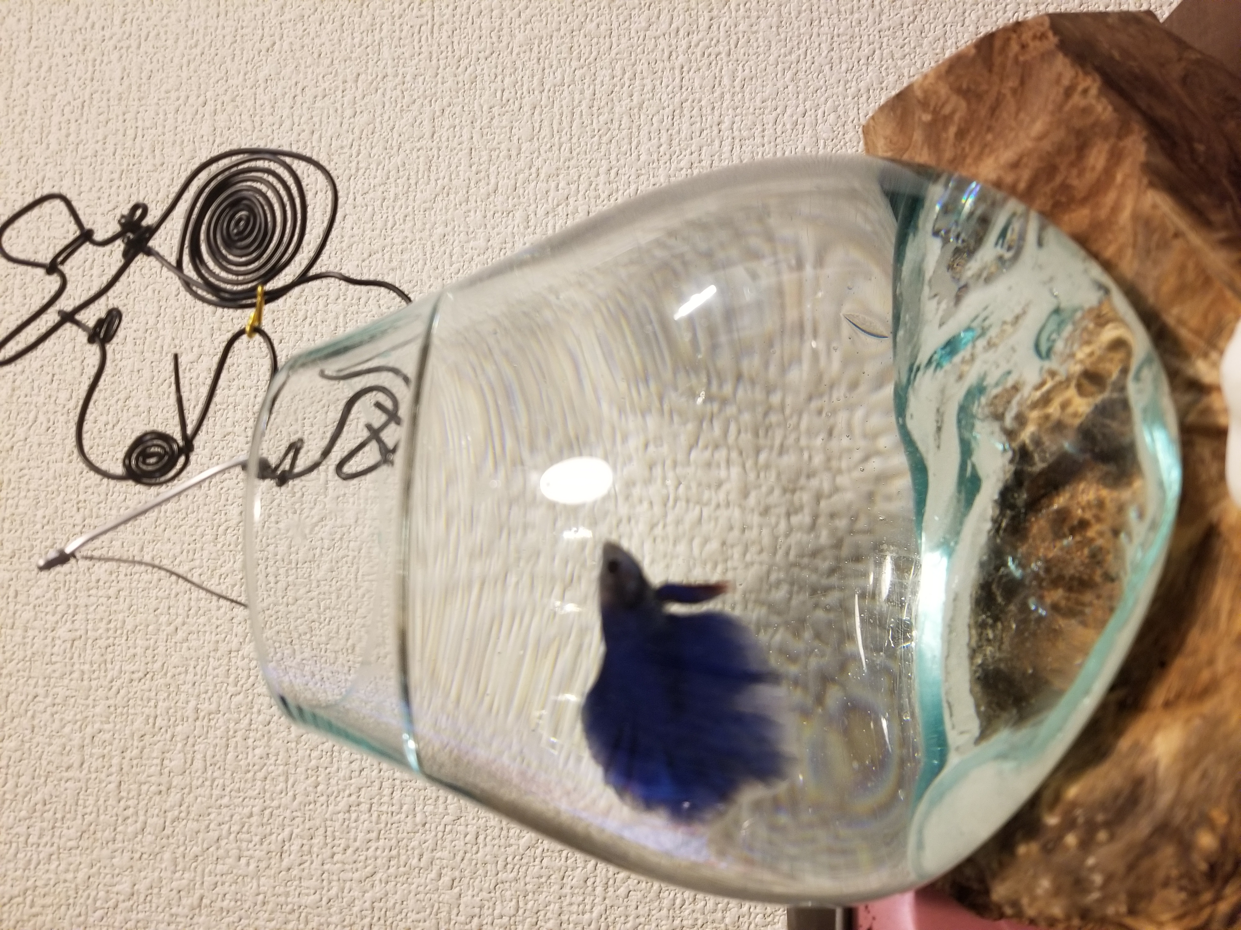 ワイヤーアート Snoopy21が投稿したフォトブック Lemon8